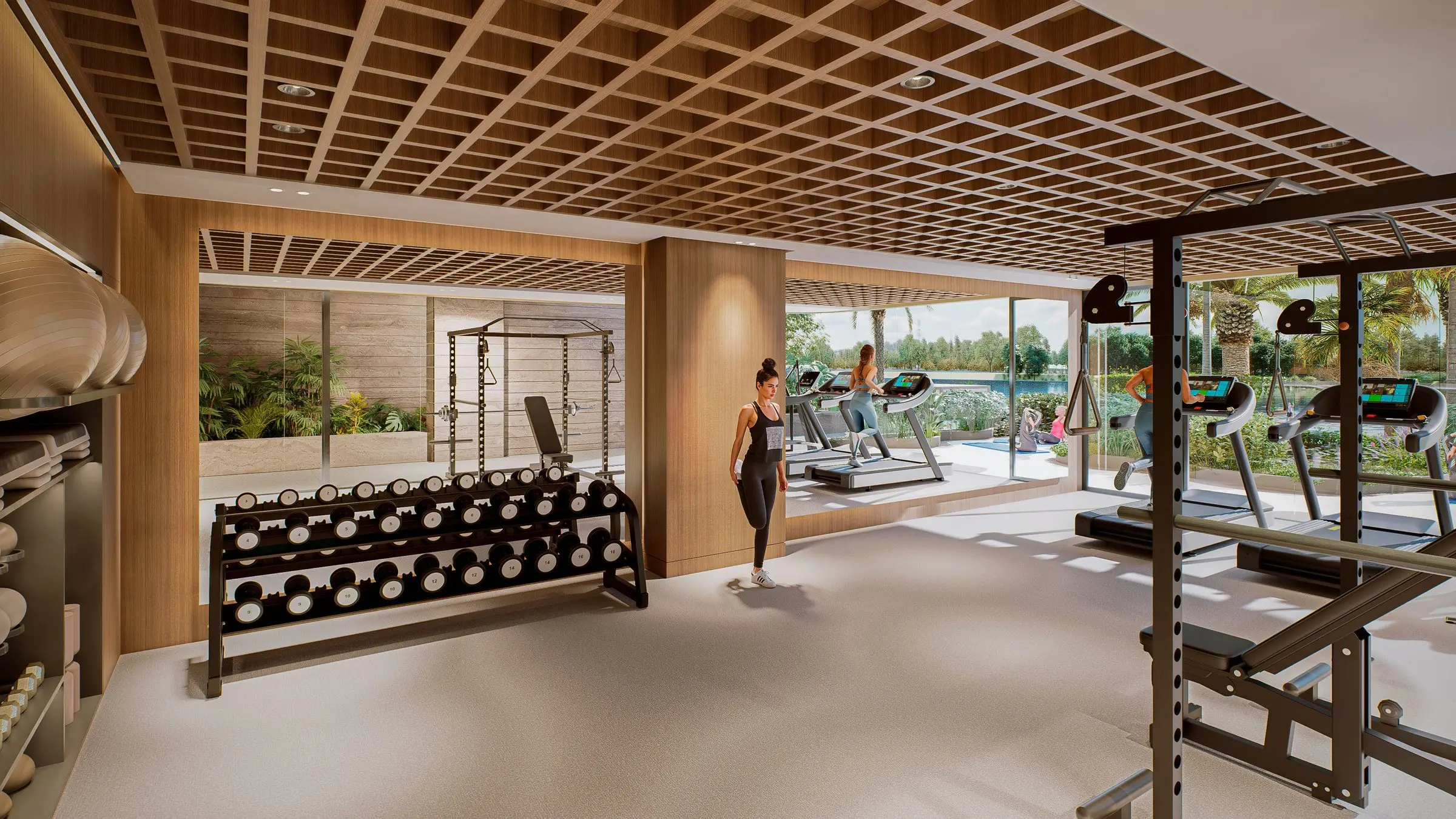 Gimnasio